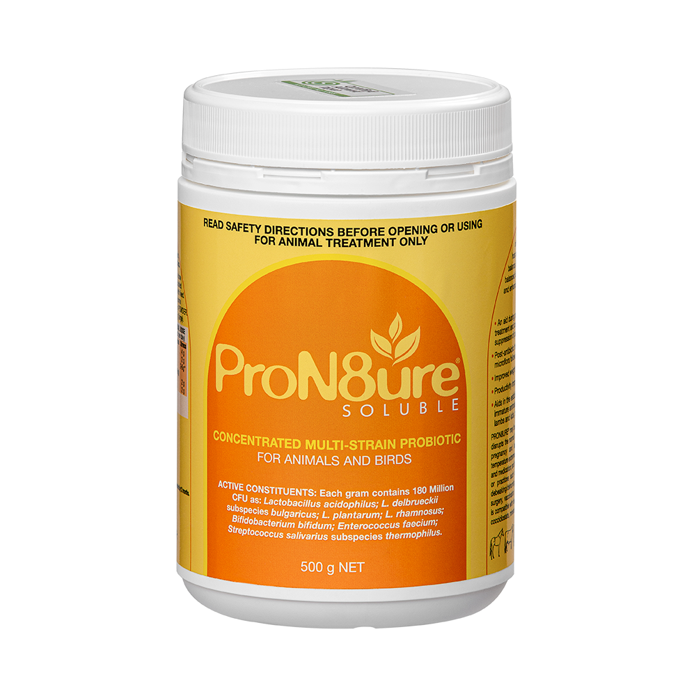 ProN8ure Soluble Multi Strain Probiotic for all animals in 500gm plastic container